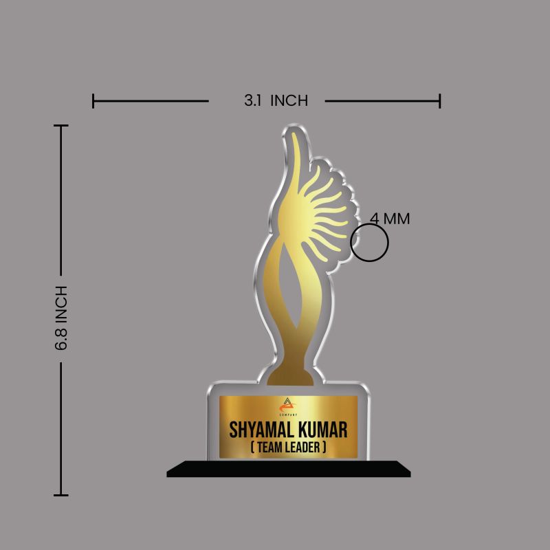 Personalized Corporate Recognition Award  Custom Acrylic Trophy with Name and Designation, Unique Gift for Team Leaders, Managers, Corporate Appreciation and Employees